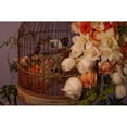 thumbnail image 3 of Crane, Rita 18x13 Black Modern Framed Museum Art Print Titled - Flowers and Bird Cage II, 3 of 5