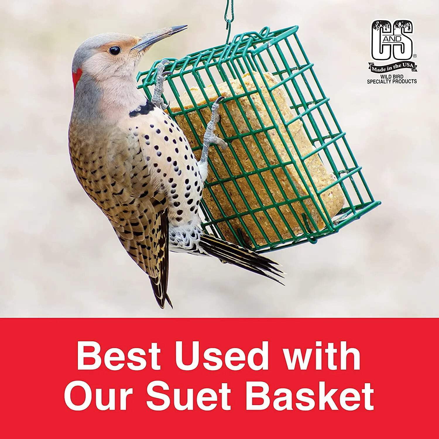CS Berry Delight No Melt Suet Dough Bird Food 11.75 oz. Each 4-Pack