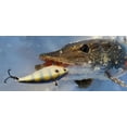 thumbnail image 3 of Yo-Zuri Rattl'n Vibe Lipless Crankbait Fishing Lure, 65mm 2-1/2 in, 5/8oz, 3 of 5