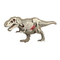 thumbnail image 2 of jiaping Animal Body Model Classroom Body Organ Parts for Study Tool Ages 8+ Children 3101, 2 of 8