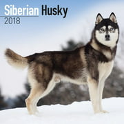 Turner Photo Licensing Siberian Huskies Office Wall Calendar (18998940051)