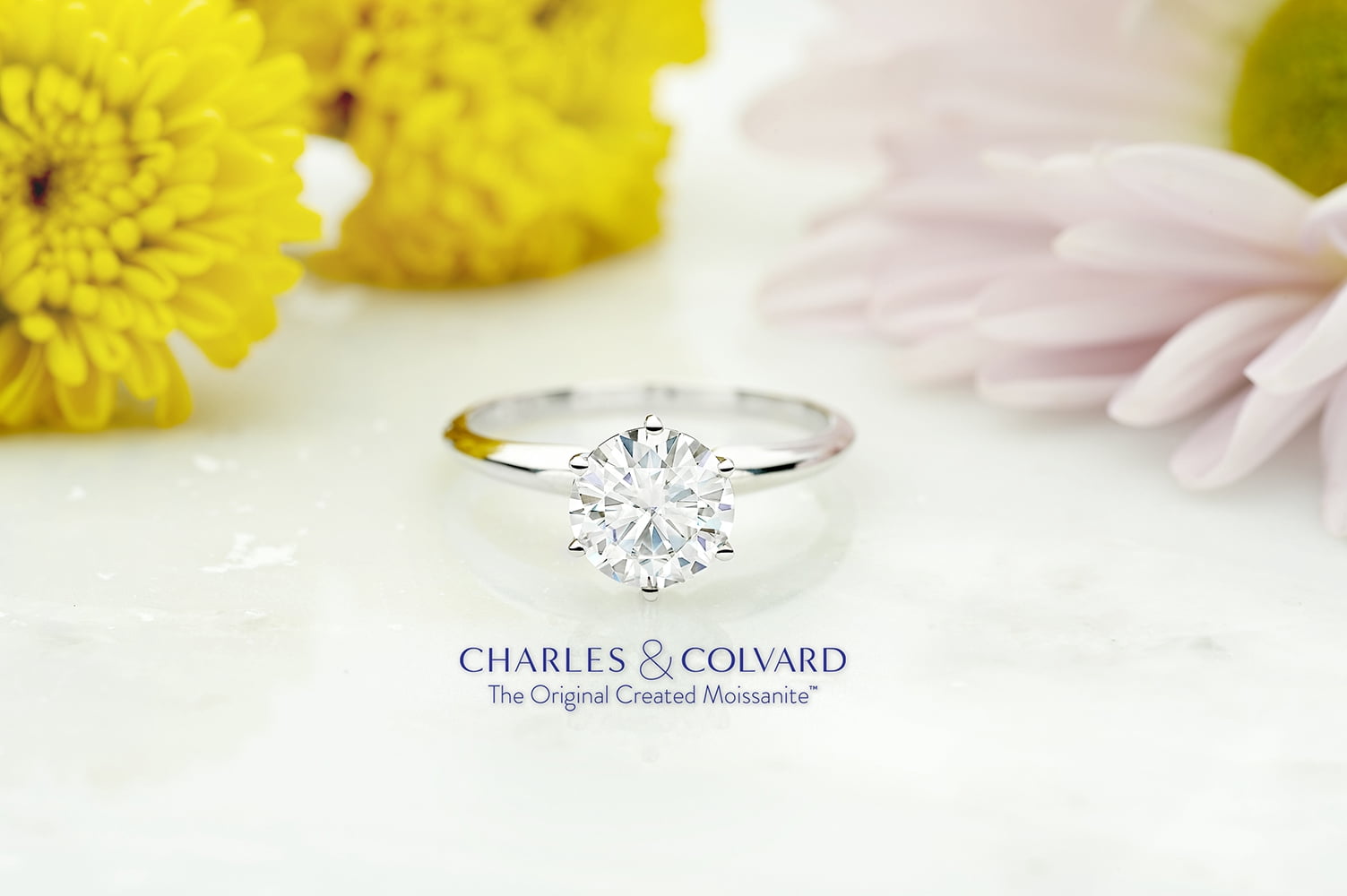 Gem Stone King 14K White Gold White Moissanite Solitaire Engagement Ring for Women | 0.80 Cttw | Round 6MM | Gold Ring for Women | Wedding Engagement Anniversary Promise Ring for Women | Size 8
