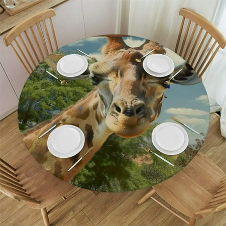 

BCIIG Giraffe Round Table Cover Stain Resistant Washable Indoor Outdoor Tablecloth Kitchen Dining Wedding Parties Picnic Farmhouse 100% Polyester Fiber 31 -35