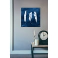 thumbnail image 3 of Epic Art 'Cyanotype Feathers II' by Grace Popp, Acrylic Glass Wall Art, 24"x24", 3 of 5