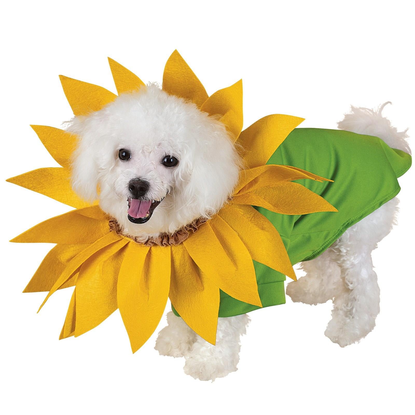 sunflower dog outfit