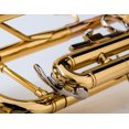 Glory Brass Bb Standard Trumpet Set for Student Beginner with Hard Case