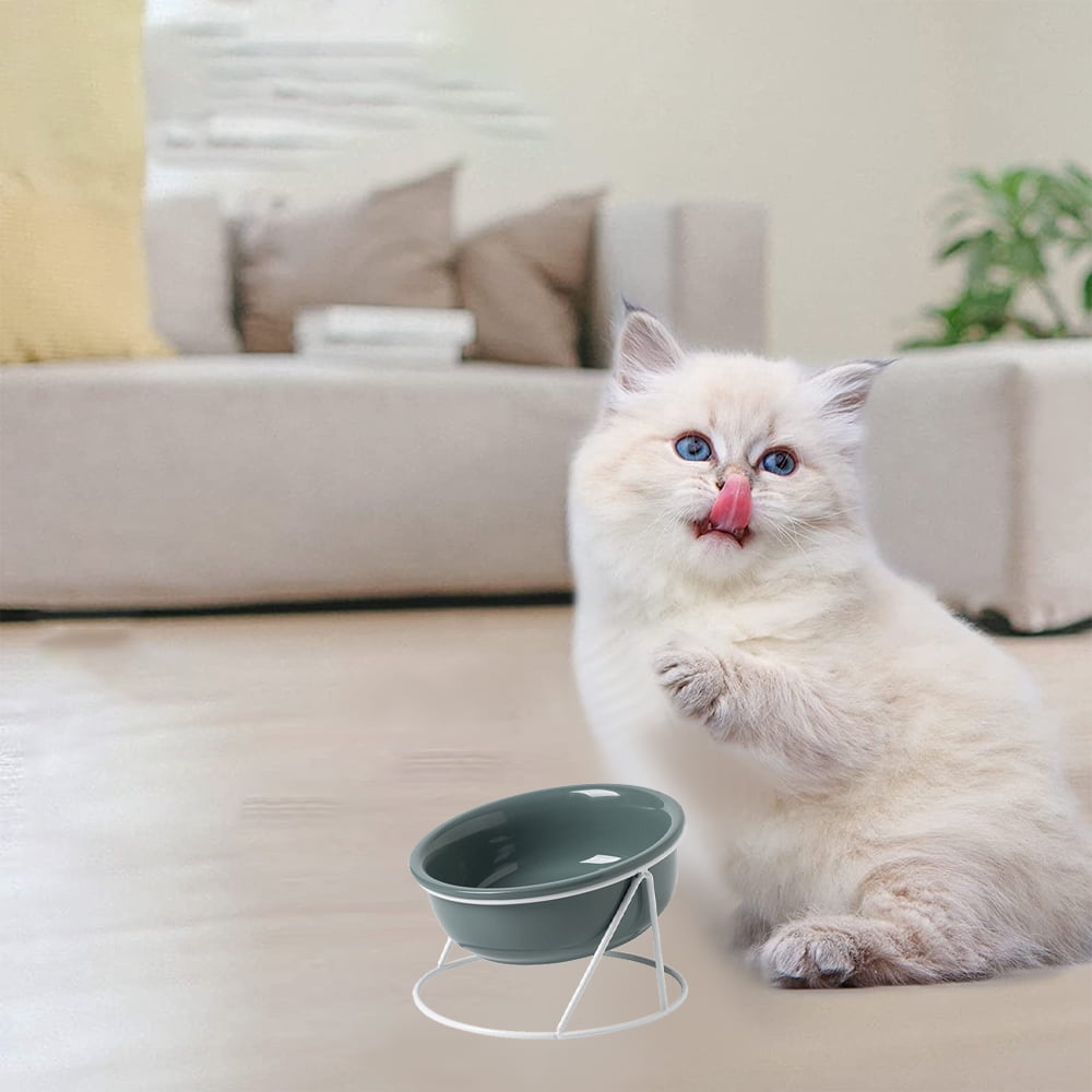 Cat & Dog Feeder with Cervical Spine Protection, Iron Frame Stand Included Ceramic Pet Bowl Set
