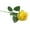 Yellow, variant on Farfi 1 Pc Artificial Flower Fake Rose Wedding Bridal Party Home Garden Decoration (White)