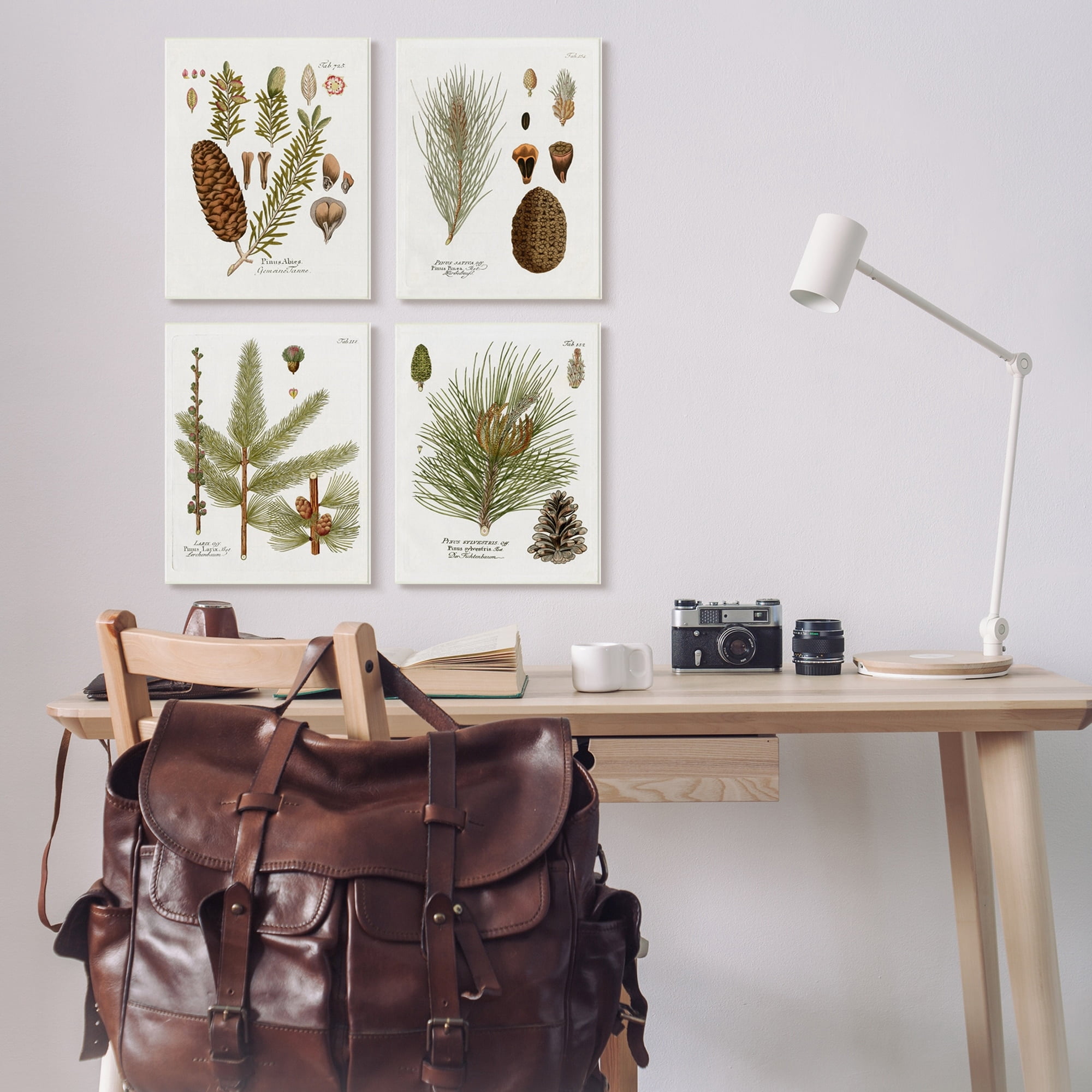 Stupell Industries Vintage Forest Pine Illustrated Study Green Brown Plants, 13 x 19, Design by Kelly Donovan