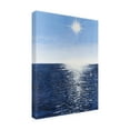 thumbnail image 2 of Canvas Wall Art - Michael Willett 'Solar Glitter II' Wall Art for Living Room, Bedroom, or Office Décor by Trademark Fine Art - 14 x 19 Inches, 2 of 4