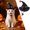 Black-7, variant on Cat Wizard Hat Pet Halloween - Adjustable Sorcerer Hat for Cats Small Dogs Cosplay(Black-1,13.5cm)