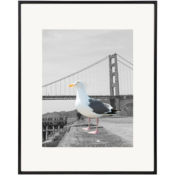 Frametory, 16x20 Aluminum Photo Frame with Ivory Color Mat for 11x14 Picture & Real Glass, Metal Picture Frame Collection (Black, 1-Pack)