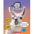 thumbnail image 1 of Llamas (Wild Life Lol!), 1 of 1