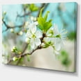 thumbnail image 2 of Beautiful Cherry Blossom n Spring - Floral Canvas Art Print, 2 of 4