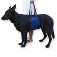 thumbnail image 1 of Cinturón auxiliar para mascotas Arnés de elevación clásico para mascotas mayores o perros enfermos subir y bajar escaleras, entrar y salir de vehículos azul (M) oso de fresa  Electrónica, 1 of 5
