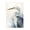 Quiet Heron View, variant on Stupell Industries Cottage Sea Heron Standing Black Floating Frame Canvas Art, 17 x 25, by Jade Reynolds