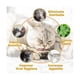 thumbnail image 4 of Catnip Ball Toys for Cats, 8-Pack Edible Kitty Dental Sticks with Silvervine & Gall Fruit, 4 of 5