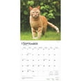 thumbnail image 4 of Ginger Cats | 2025 12x24" (Hanging) Square Wall Calendar | BrownTrout, 4 of 9