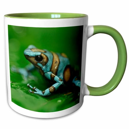 Two Tone Frog - 3dRose Blue n brown tree frog on a leaf - Two Tone Green Mug, 11-ounce