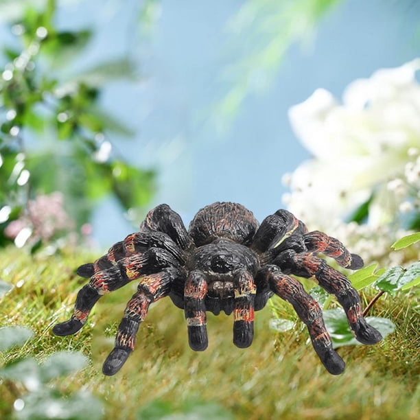 Figuras de realistas Accesorios de juguetes preescolares Juegos de juegos Figura de aprendizaje de plástico Figura de animal de simulación realista para suministros de fiesta Pequeña perfke Figuras de Araña