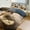 chudan, variant on Surfing Cat Bedding Sets Twin Duvet Cover 3 Piece Cute Bed Set for Boys Girls Kid