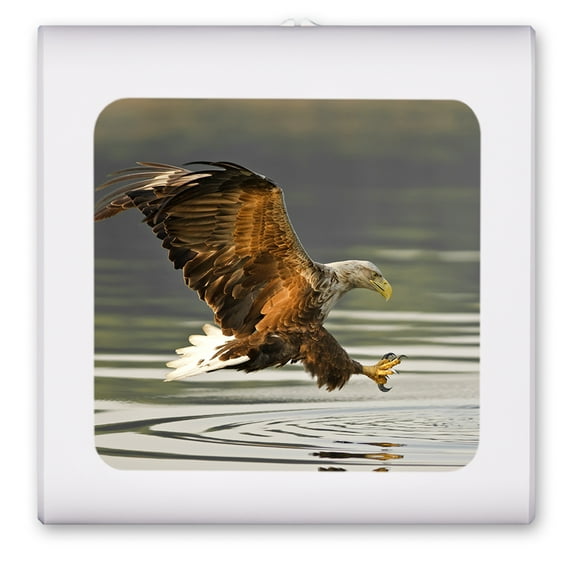 Plug in Dimmable LED Night Light with Dusk to Dawn Auto Sensor, Adjustable Brightness, Warm Light, Auto On/Off Nightlight for Bathroom, Hallway, Nursery, Bedrooms - Fishing Eagle