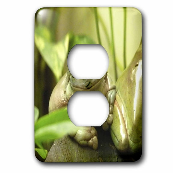 3dRose, Macro Of Cute Frog Face, 2 plug outlet cover