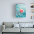thumbnail image 3 of Trademark Fine Art Cristiano Giani Let's cool Canvas Wall Art, 3 of 4