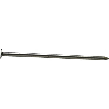 Pro-Fit 4 in. Common Bright Steel Nail Flat Head 1 lb