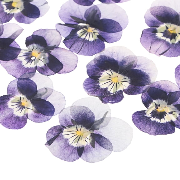 12-Pack Dried Pressed Flowers for Resin, Real Natural Bulk Dry Floral for Crafts/DIY Jewelry/Soap Making/Scrapbooking/Candle/Epoxy Resin Supplies/Flower Painting [Light Purple]