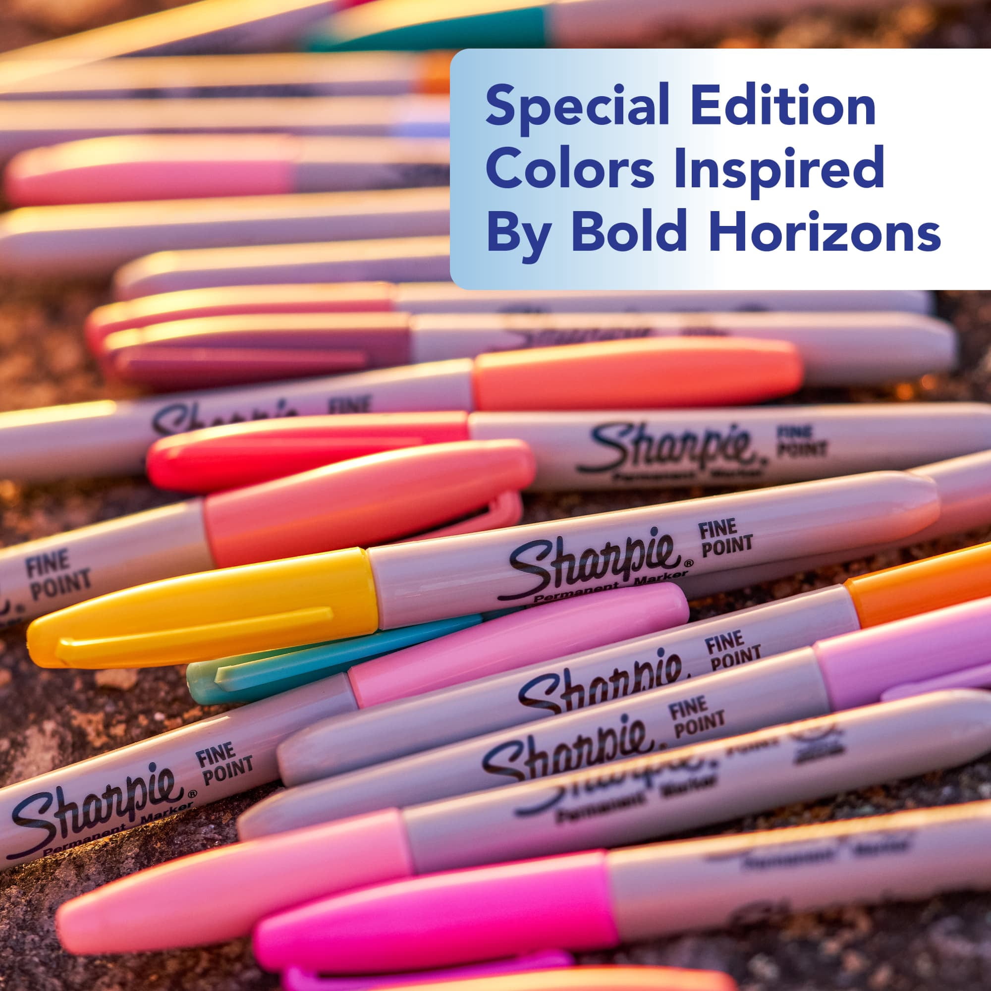 Sharpie Permanent Markers Bold Horizons Collection Sorbet Skies Assortment Fine Tip 12 Count