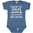 thumbnail image 3 of Inktastic Only the Best Nieces Get Promoted to Big Cousin Boys or Girls Baby Bodysuit, 3 of 5