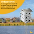 thumbnail image 3 of Birds Choice 12' Heavy-Duty Purple Martin House Telescoping Pole, 1 Count, 3 of 13