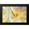 thumbnail image 2 of Disher, Mandy 18x13 Black Modern Framed Museum Art Print Titled - Papaver Ice, 2 of 5