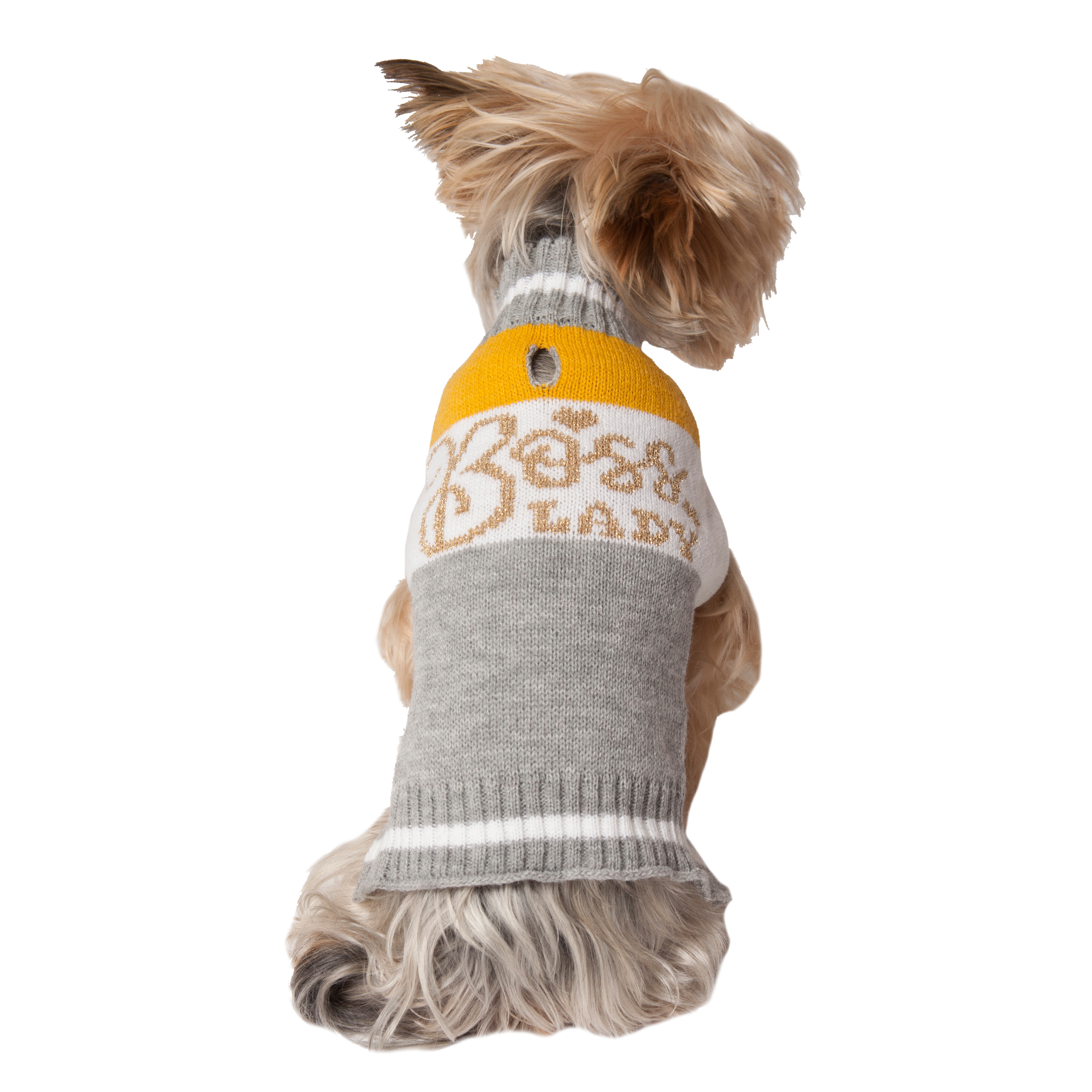 Vibrant Life Fall Gray & Mustard Boss Lady Dog Sweater
