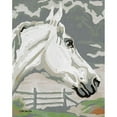 thumbnail image 3 of Stellar Design Studio 12x14 Black Modern Framed Museum Art Print Titled - Painted Horse 1, 3 of 5
