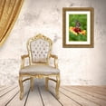 thumbnail image 3 of Richardson, Larry 11x14 Gold Ornate Wood Framed with Double Matting Museum Art Print Titled - A Virginia Lady butterfly lands on Gaillardia, 3 of 4