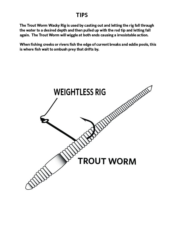 trout worm rig
