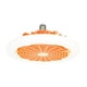 thumbnail image 1 of Ventilador de Techo Silencioso Wosthever con Luz Naranja Velocidad Ajustable, 1 of 6