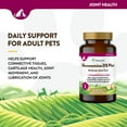 thumbnail image 5 of NaturVet Dog Glucosamine DS Plus Moderate Joint Care Chondroitin & MSM, Time Release Tab, 60 Count, 5 of 8