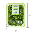 thumbnail image 6 of Marketside Organic Baby Arugula Salad, 5 oz Clam Shell (Fresh), 6 of 8