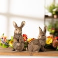 thumbnail image 6 of Melrose Standing and Sitting Rabbit Outdoor Garden Figurines - 8.75" - Set of 2, 6 of 6