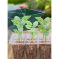 thumbnail image 3 of OUSITAID Seedling Starter Kit ABS 10Pcs 12 Holes Seed Starter Tray Kit with Adjustable Vents Multifunctional Seed Propagator Set with Transplant Tools Labels Pen, 3 of 9