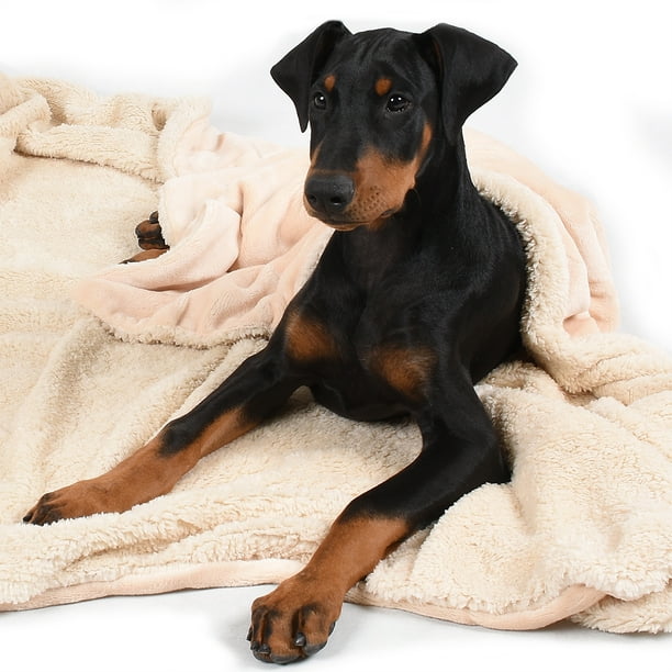 Dog Blankets for Large Dogs,Super Soft Warm Sherpa Fleece ...