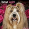 Tibetan Terrier Calendar 2018 - Dog Breed Calendar - Wall Calendar 2017-2018