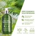 thumbnail image 2 of Champú Roycederm Tea Tree Antimicótico para Foliculitis 300 ml, 2 of 6