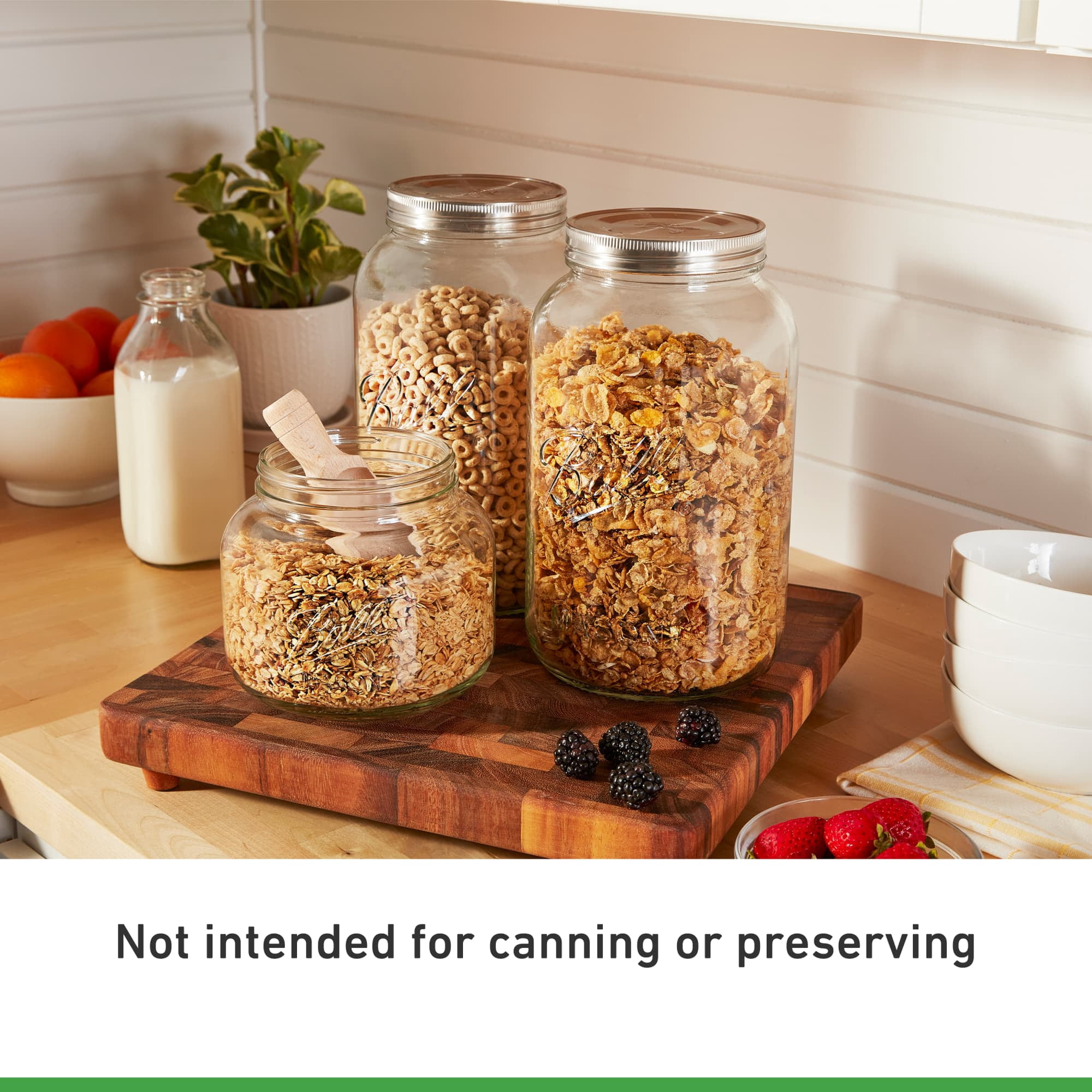 (2 pack) Ball Half Gallon Deco Jar w/ Stainless Steel Lid, 1 Count