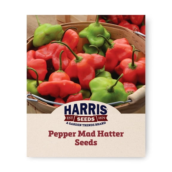 Harris Seeds Pepper Mad Hatter F1 Sweet Mild Pepper Variety, Non-GMO, 10 Count