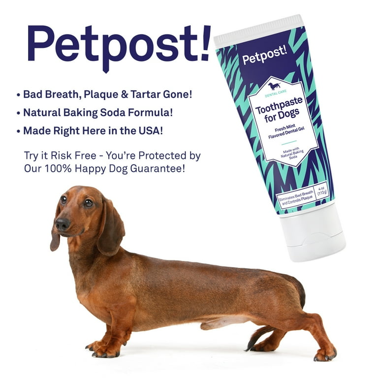Petpost deals