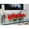 thumbnail image 3 of Cymbidium Orchids and Driftwood Centerpiece in Glass Planter Red 48"L x 6"W x 8"H, 3 of 5